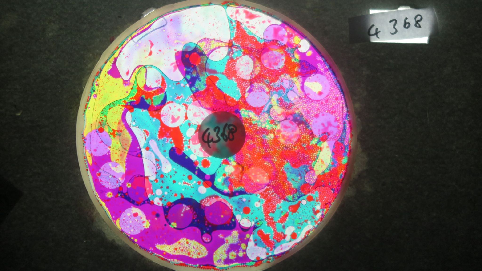 BV4368 bubble vision oil wheel